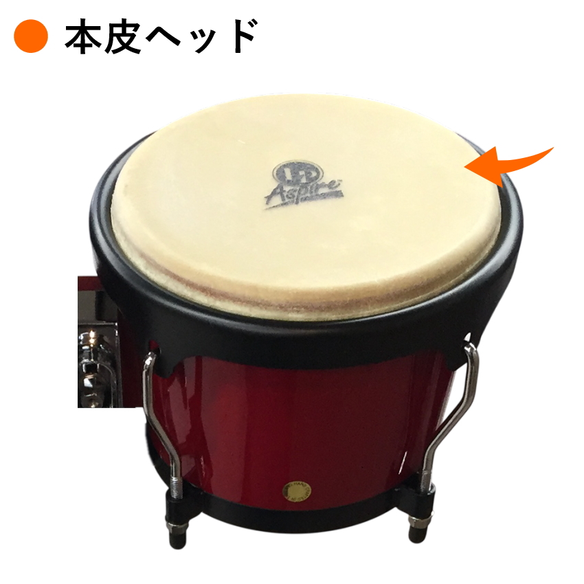 LP ボンゴスタンド（パーカッション、打楽器）｜楽器、器材 | 楽器