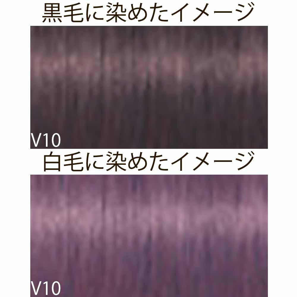 IGORA ROYAL シュワルツコフ イゴラ ロイヤル ピクサム-F ブラウンと色