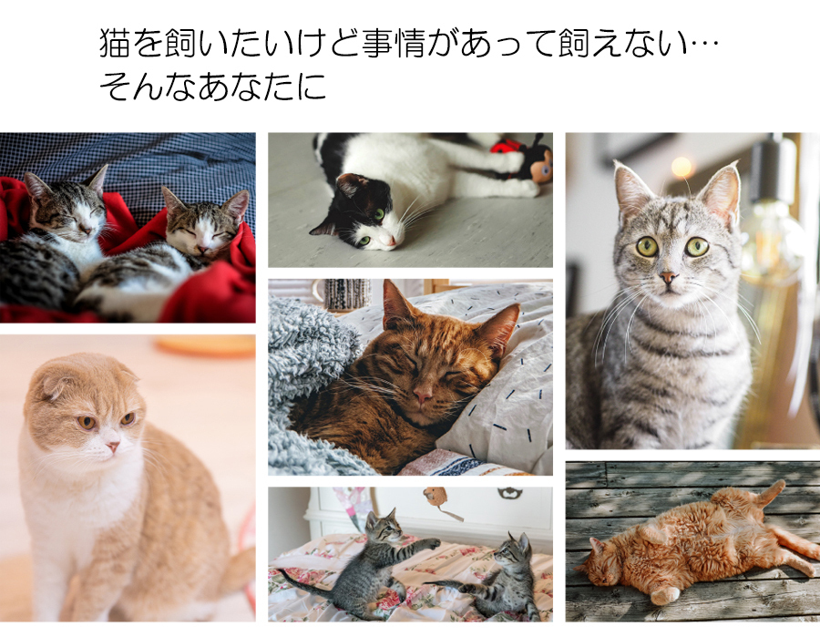 すぐ使える単4電池付] ミャウエバー グレー クッション ぬいぐるみ 猫