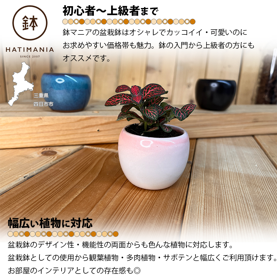 HATIMANIA 鉢マニア 丸鉢 2号 盆栽鉢 水が抜けやすい 小さい 小サイズ