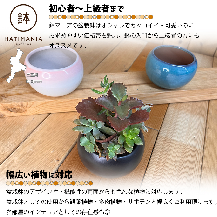 HATIMANIA 鉢マニア 丸 3.5号 盆栽鉢 水が抜けやすい 小さい 小サイズ