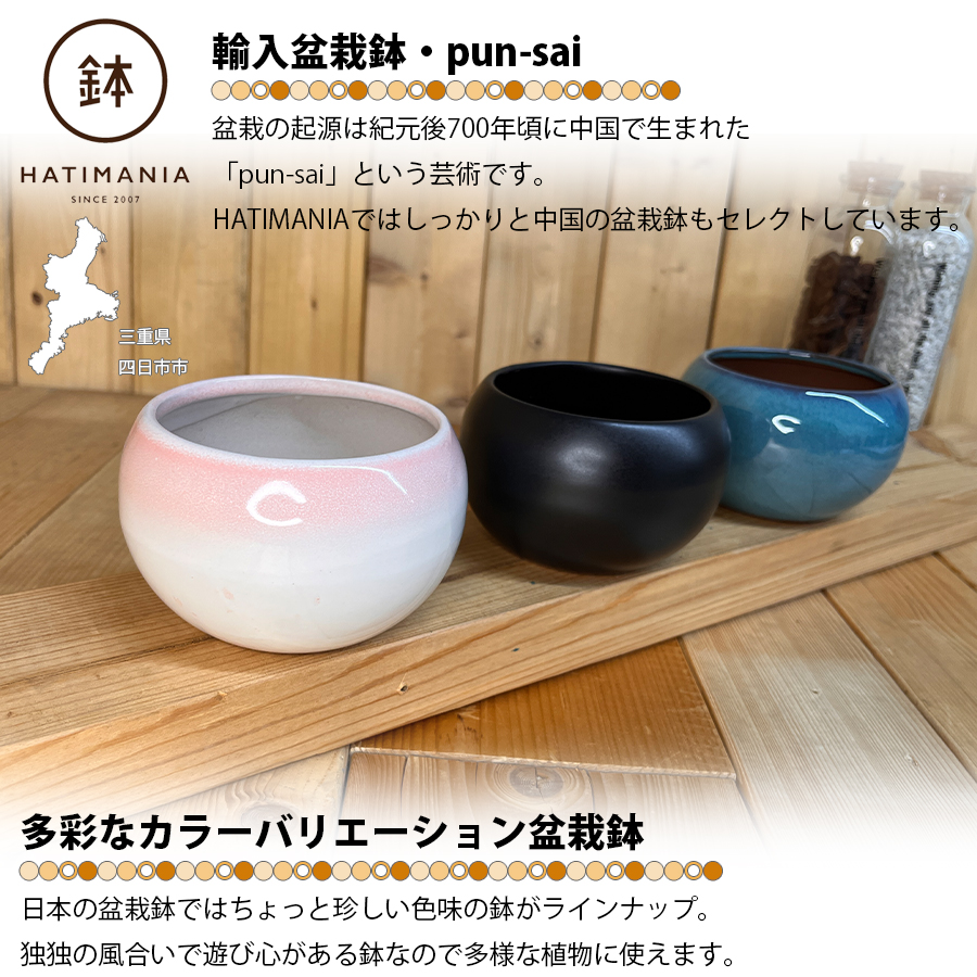 HATIMANIA 鉢マニア 丸 3.5号 盆栽鉢 水が抜けやすい 小さい 小サイズ