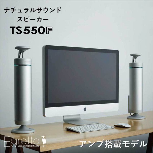 Egretta エグレッタ TS500 パッシブ スピーカー】 Amazon.co.jp