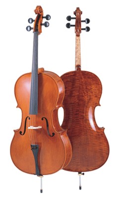 Hallstatt WBS800/初心者入門セット ハルシュタット ウッドベース