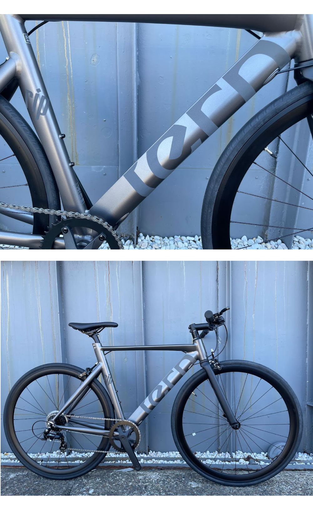 DAHON（ダホン） Tern ターン 自転車 クロスバイク RIP リップ 20254年