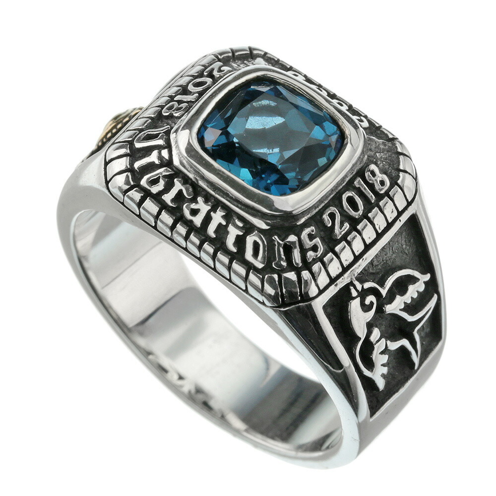 Binich（ビニッチ） プロビデンスアイ スワロー カレッジリング メンズ