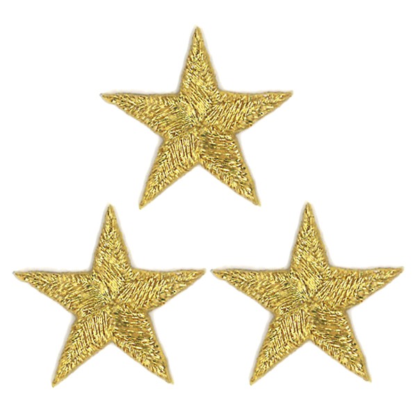 ブロドリー ワッペン ゴールド シルバー 星 大 3枚セット アイロン