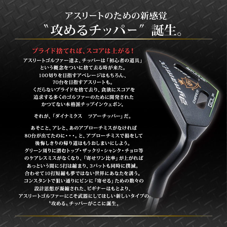 DYNAGOLF（ダイナゴルフ） ゴルフ クラブ チッパー レフティ 34インチ