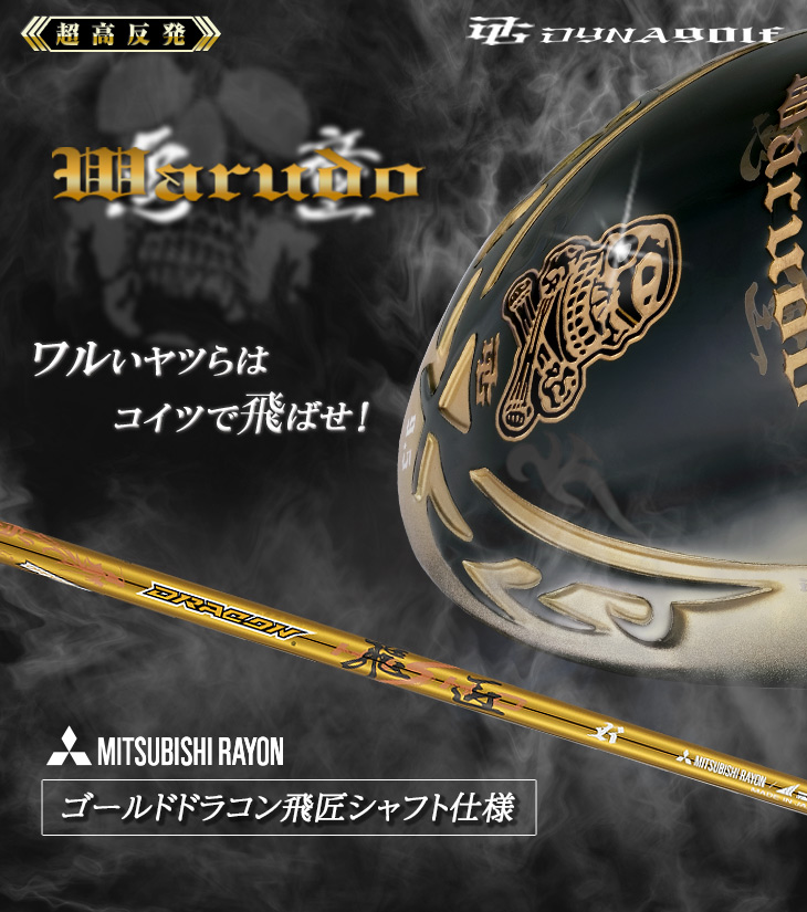 DYNAGOLF（ダイナゴルフ） ゴルフ クラブ ドライバー メンズ 46インチ