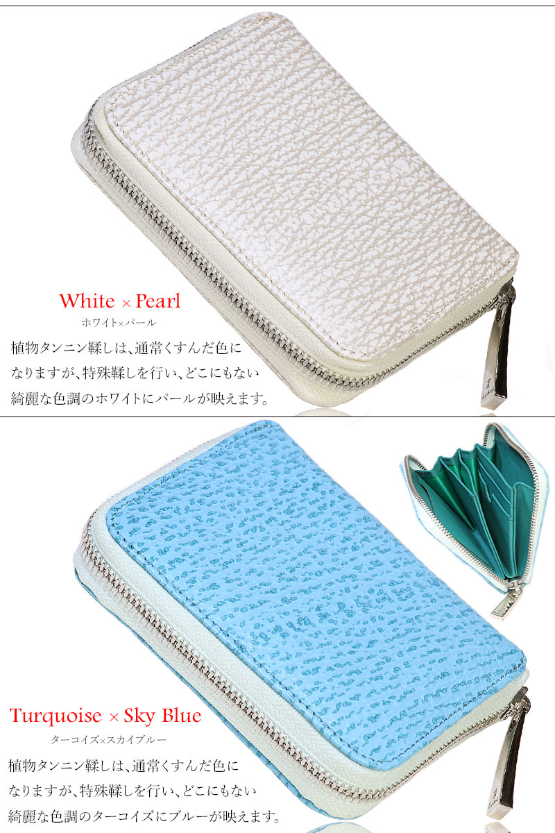 宮城県 気仙沼産ヨシキリザメ 吉切鮫 ブルーシャーク 国内唯一