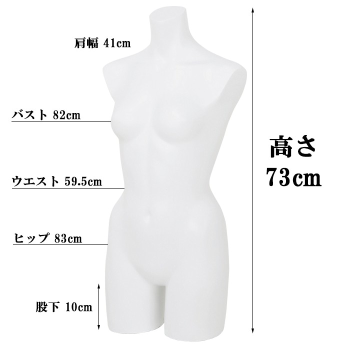 卓上ボディ レディース 上半身マネキン ラッカーボディ カラー5色