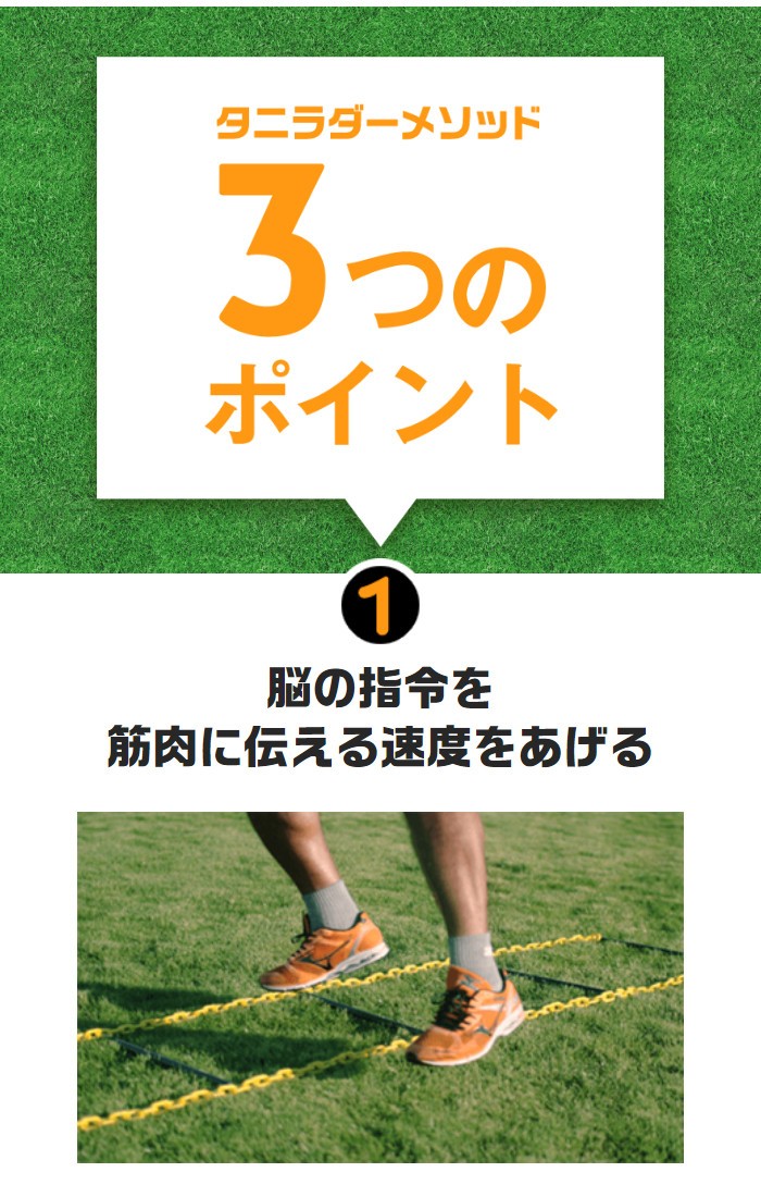 一歩目が速くなる タニラダー ベーシックシングルセット ラダー