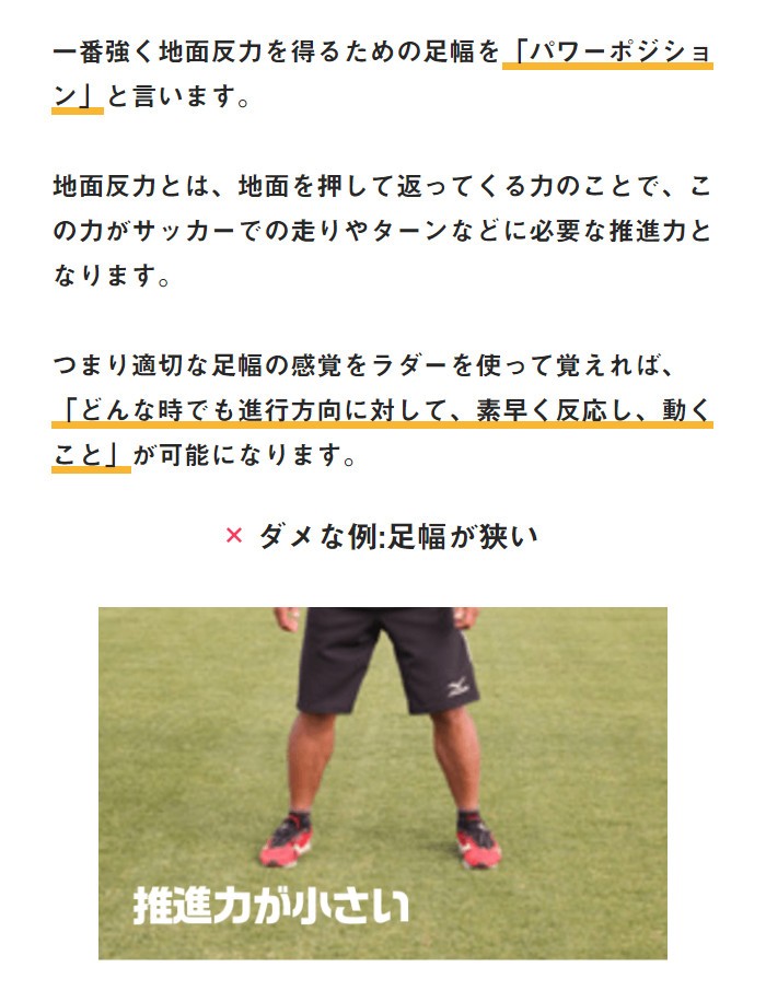 一歩目が速くなる タニラダー ベーシックシングルセット ラダー