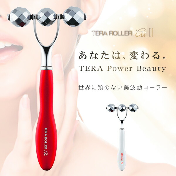 テラローラー アイ2 テラタイトローラー 美顔ローラー 次世代美容