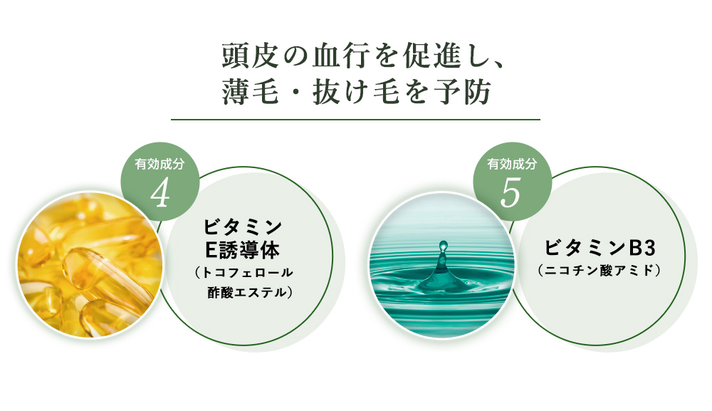 薬用育毛剤 新髪24V-UP 200mL 育毛 発毛 毛髪 抜け毛 薄毛 : は