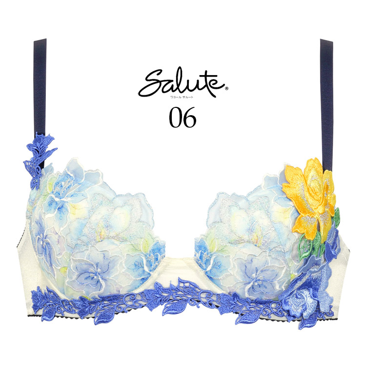 サルート（SALUTE） ワコール 06G ブラジャー P-up プッシュアップ