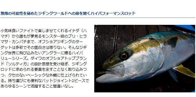 DAIWA（ダイワ） 【取り寄せ商品】ダイワ ヴァデル(59HS)(ジギング