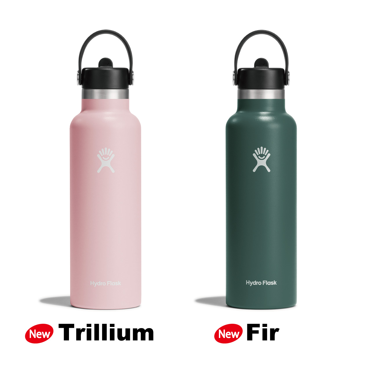 HYDRO FLASK（ハイドロフラスク） ハイドレーション スタンダード