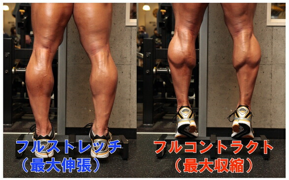 ロジャースチュワートのエクストリーム・カーフ・マシン カーフ