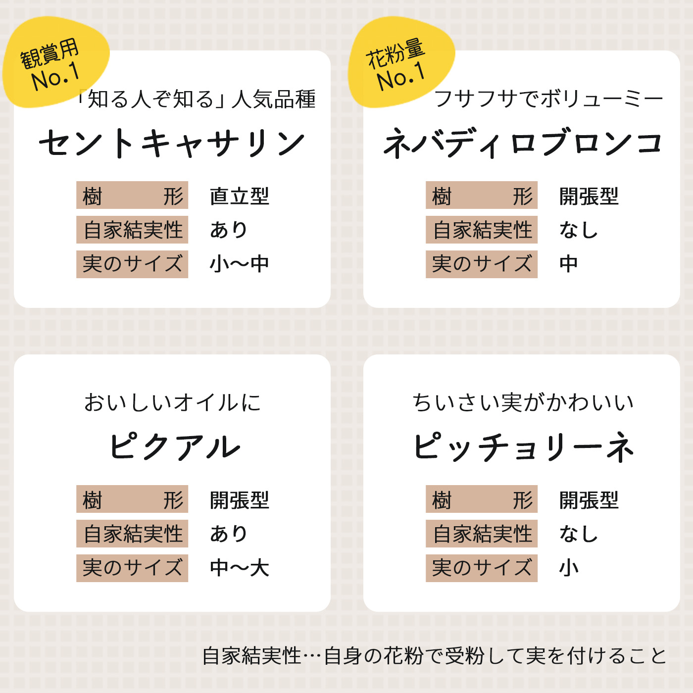 日本花キ流通 予約販売 選べるオリーブ 苗 10.5cmポット 観葉植物