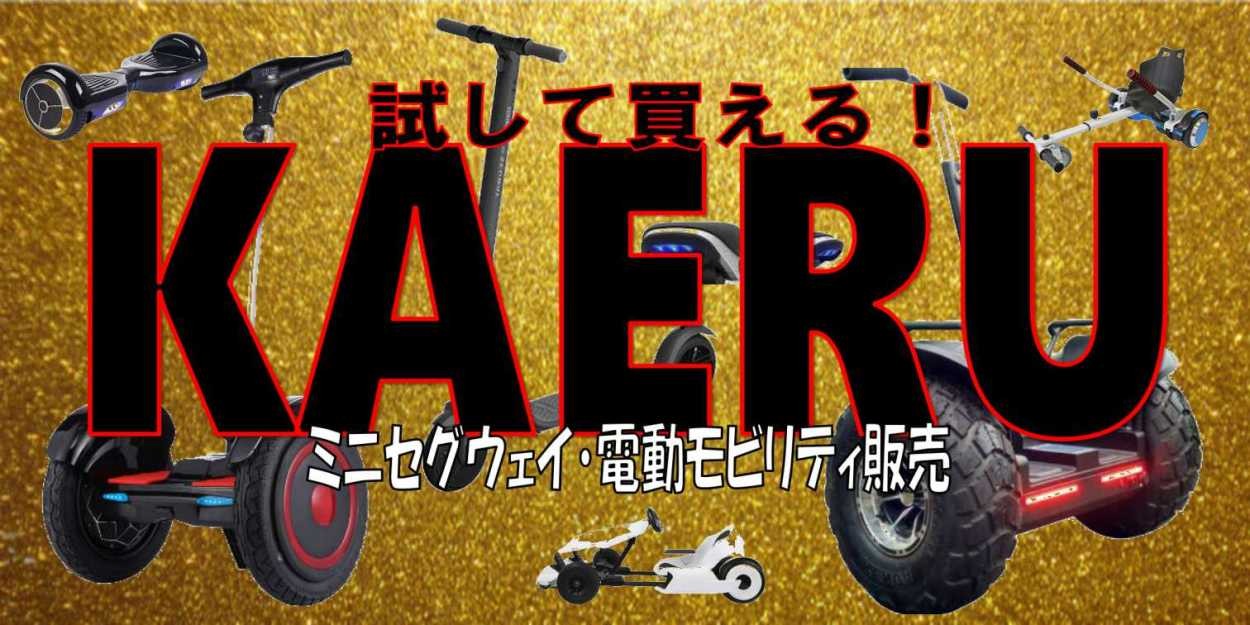 エアタイヤ】 セグウェイ ミニセグウェイ バランススクーター 10インチ