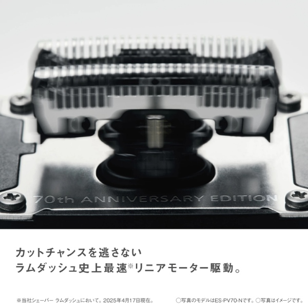 Panasonic（パナソニック） リニアシェーバー ラムダッシュ パームイン