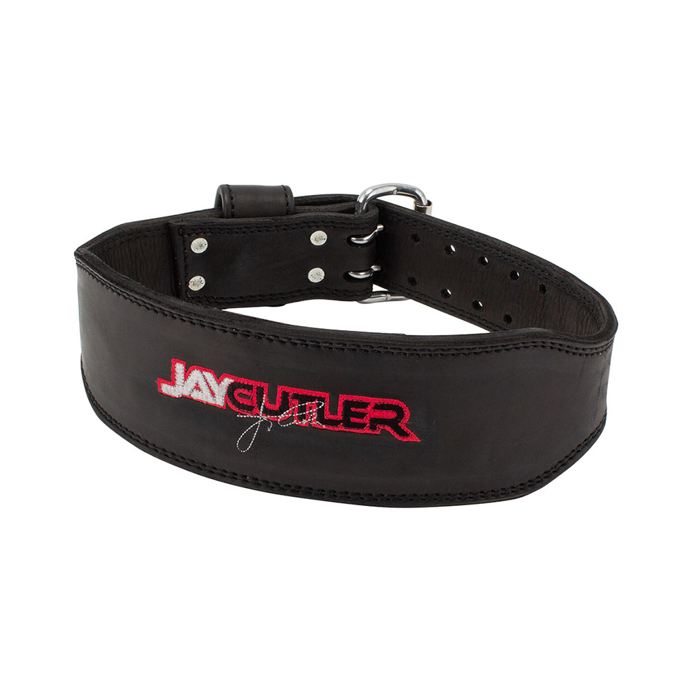 Schiek（シーク） 【並行輸入品】 リフティングベルト J2014 2ピン