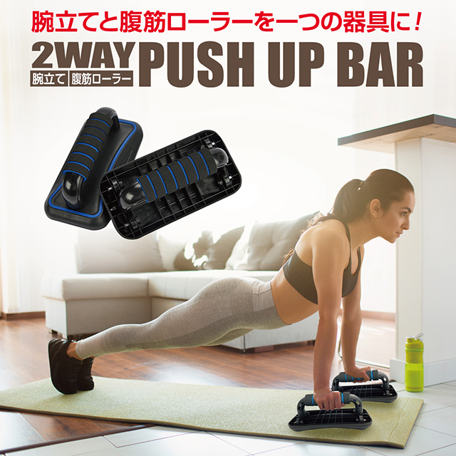 pushupbar_01r.jpg