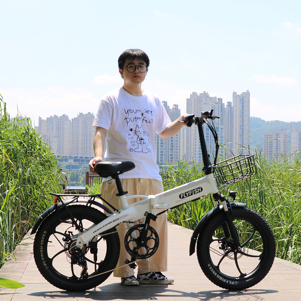 2025年モデル ファットバイク 折りたたみ 電動アシスト自転車 おしゃれ