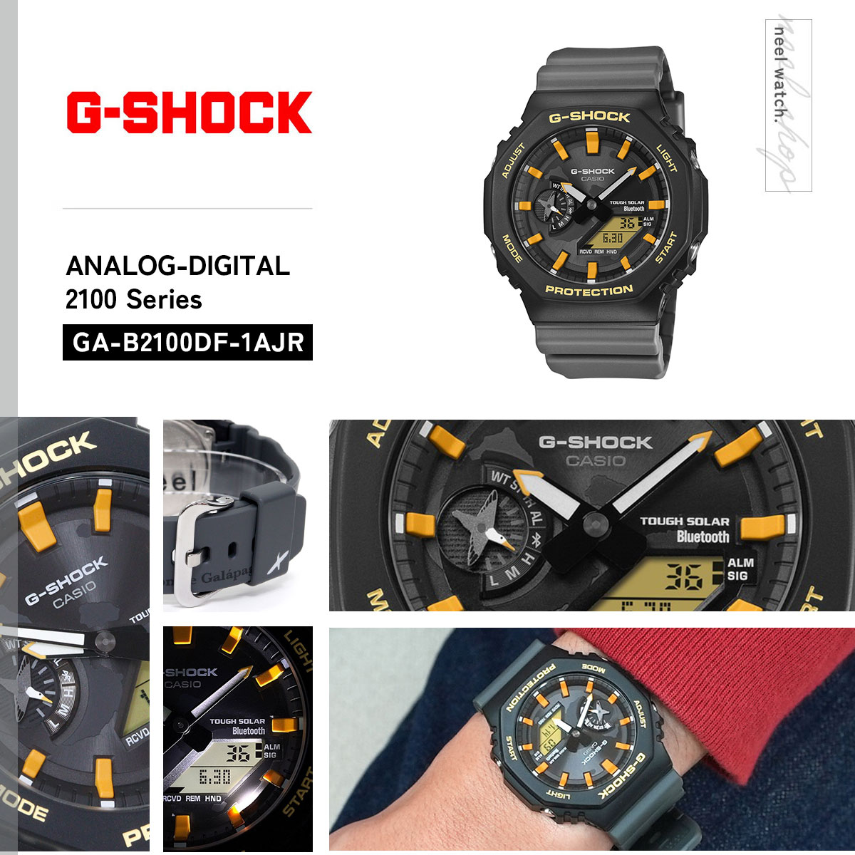 G-SHOCK Gショック ソーラー Charles Darwin Foundation コラボ 限定