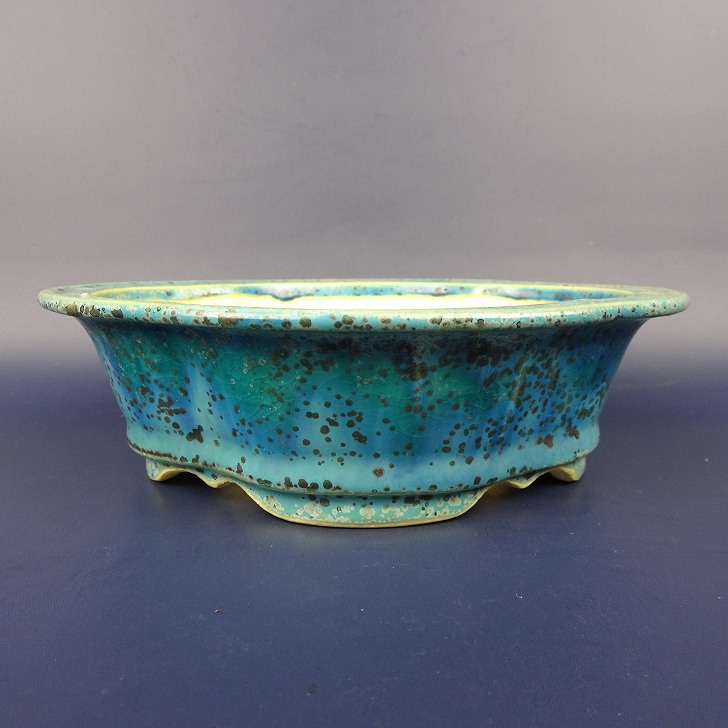 盆栽鉢 常滑 樹晃 鴻陽陶園 小型 長辺 約17cm 木瓜鉢 外縁 釉薬 現品