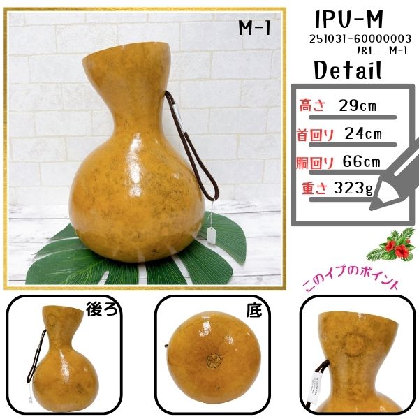 イプ Mサイズ フラ フラダンス 楽器 ハワイ ハワイアン 打楽器