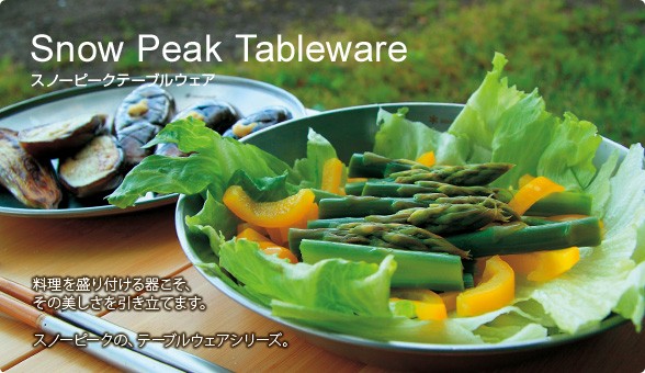 snow peak（スノーピーク） 食器 皿 4枚 テーブルウェアーセット L TW
