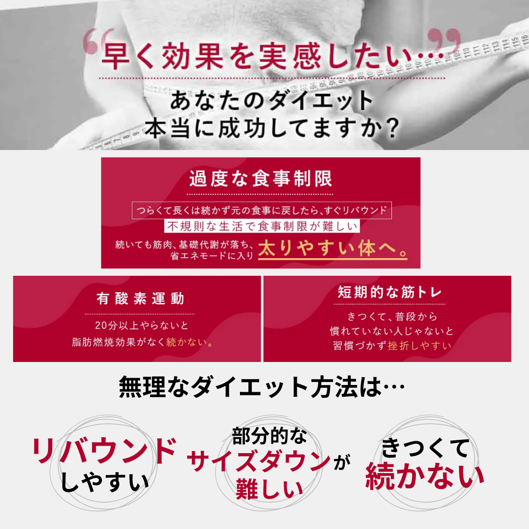 セルゼロ CELLZERO セルゼロバック BAG 美顔器・スチーマー 【メーカー