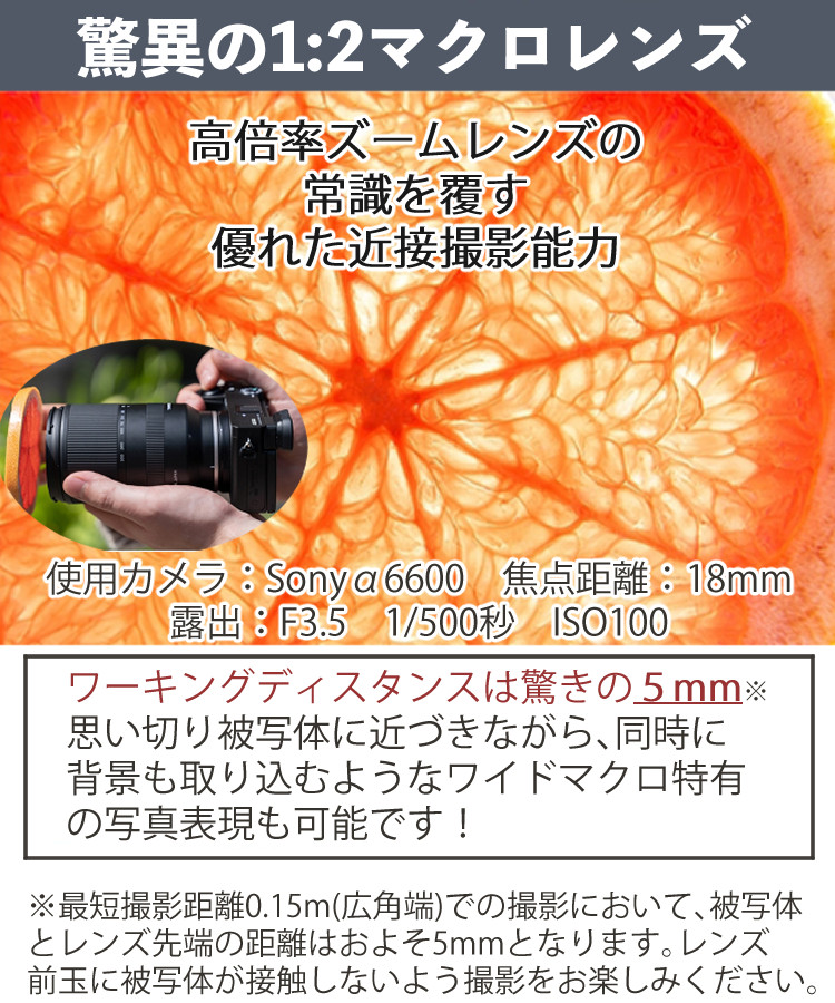 TAMRON（タムロン） 18-300mm F3.5-6.3 Di III-A VC VXD 富士フイルムX