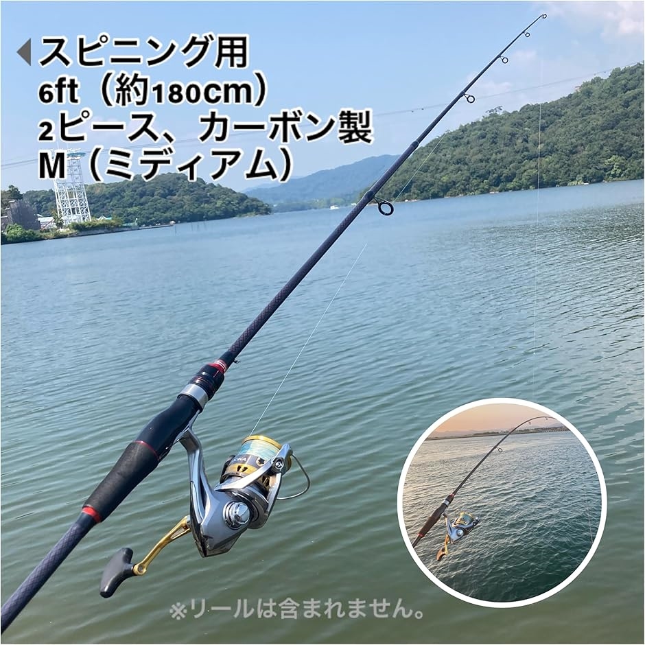 ルアーロッド 約180cm 約6ft 2ピース/ シーバス チニング 等/M
