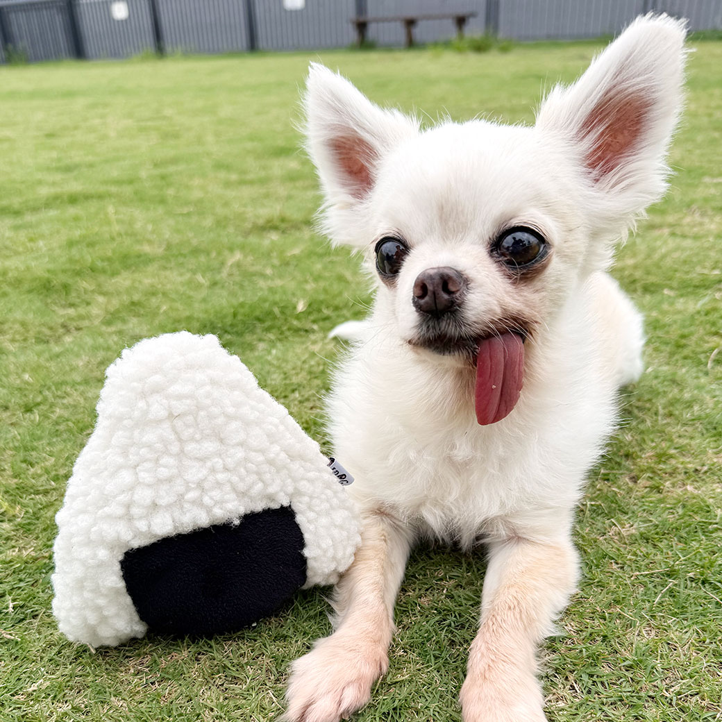 iDog 犬 おもちゃ ないしょのポケット 大きなおにぎり 鳴き笛入り アイ