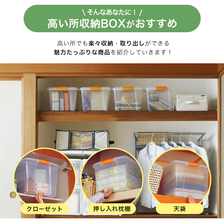 IRIS OHYAMA（アイリスオーヤマ） 衣装ケース プラスチック ロック TB