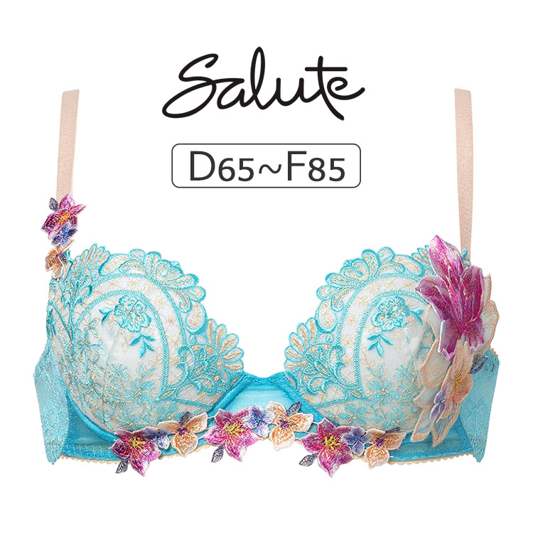 サルート（SALUTE） ワコール 13グループ 13G ブラジャー単品 P-up