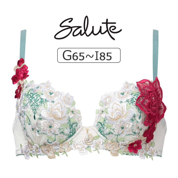 サルート（SALUTE） ワコール 16グループ 16G ブラジャー単品 P-up