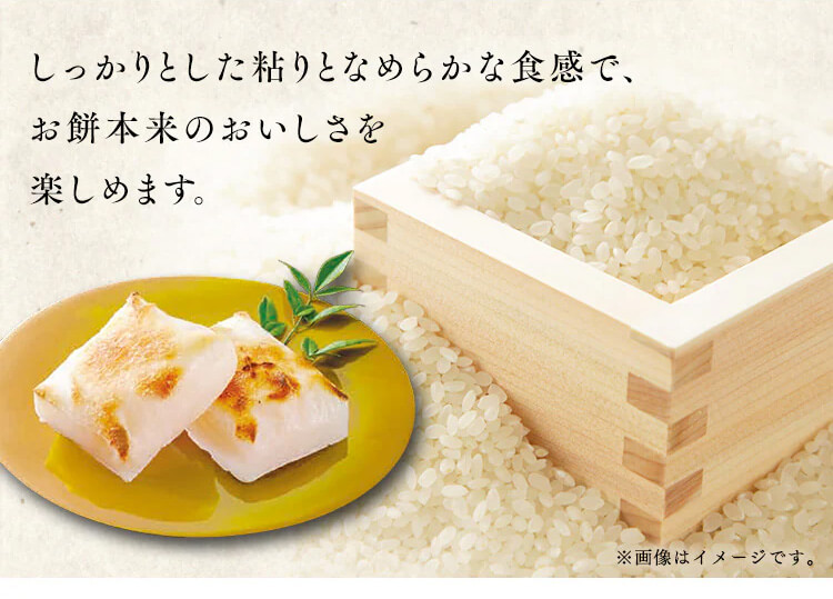 IRIS OHYAMA（アイリスオーヤマ） 餅 切り餅 もち 1.5kg 8袋 個包装