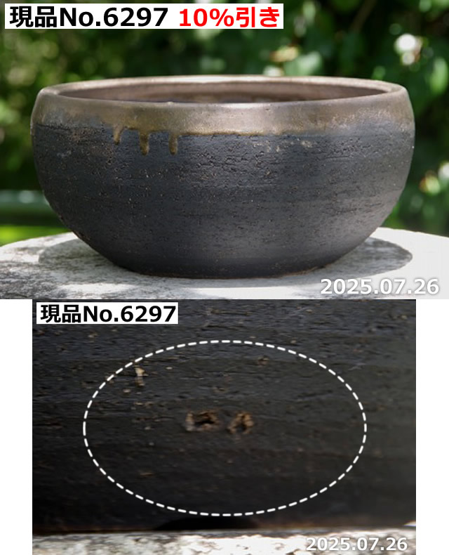 選べる 金彩中深 7号 サナサービス 信楽焼 植木鉢 陶器 【山野草鉢