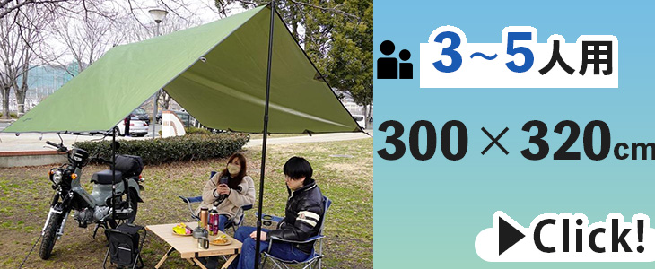 タープポール 2本セット テントポール 収納袋 ケース 伸縮式 アルミ