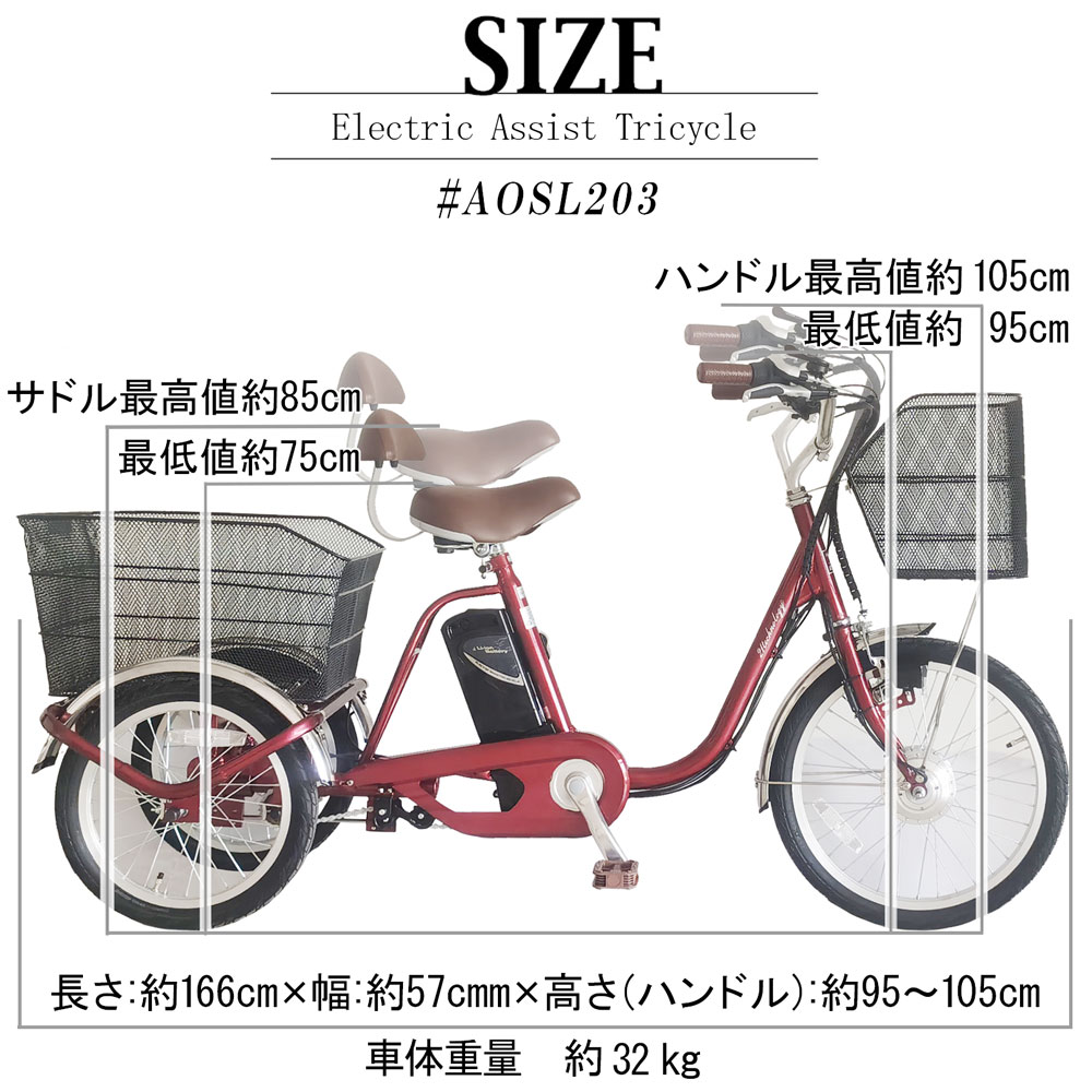 21Technology 三輪車 電動三輪車 電動三輪自転車 電動アシスト三輪車