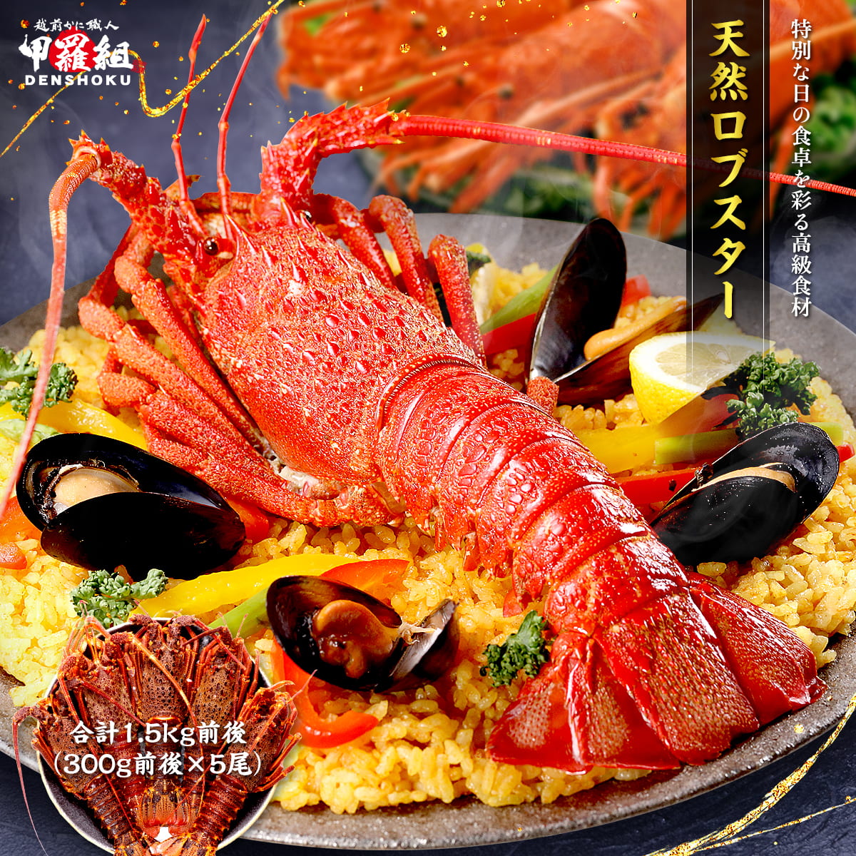 甲羅組 天然 ロブスター 合計1.5kg前後（300g前後×5尾） えび エビ