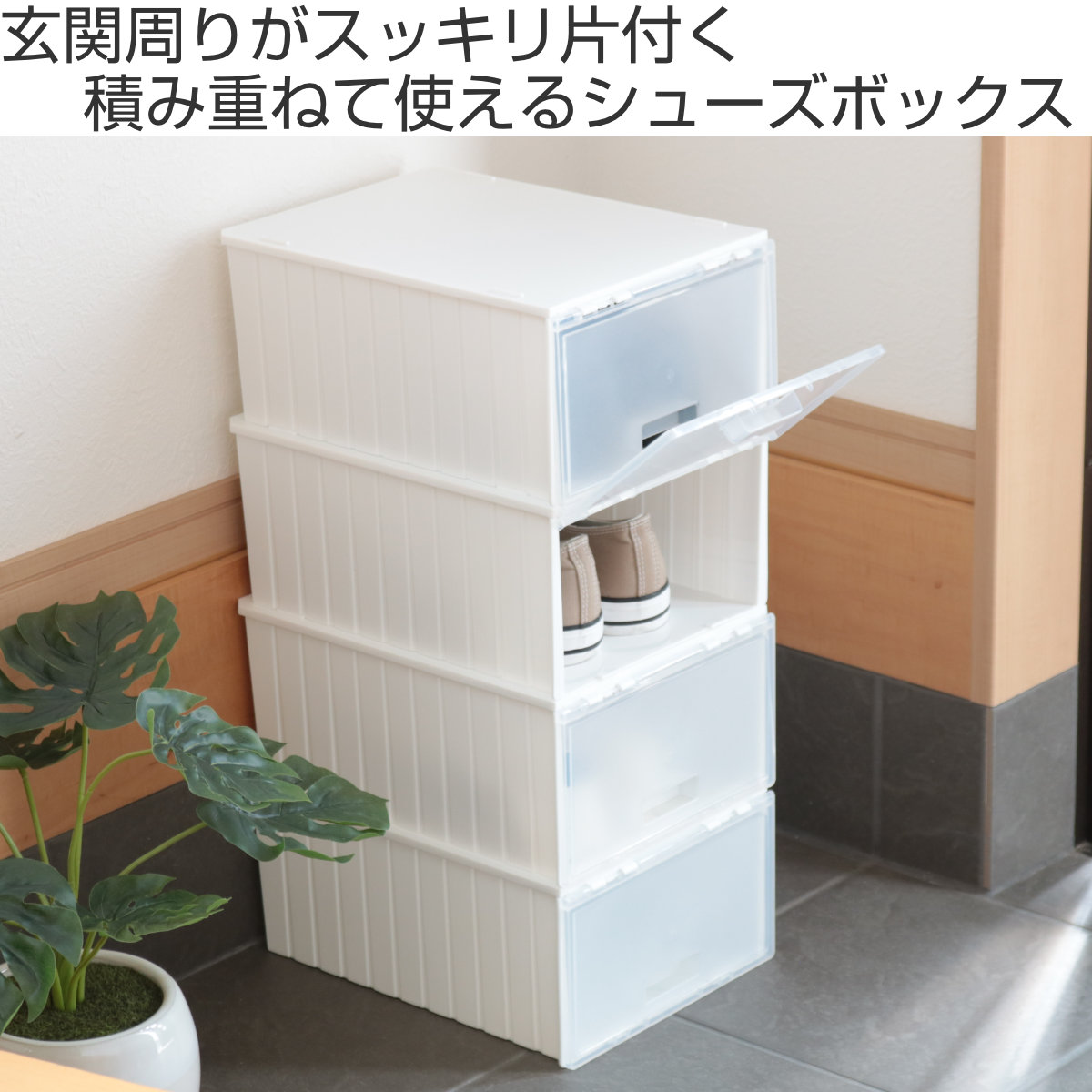 不動技研（FUDOGIKEN） 靴箱 シューズボックス i-Zucc 4個セット （ 靴