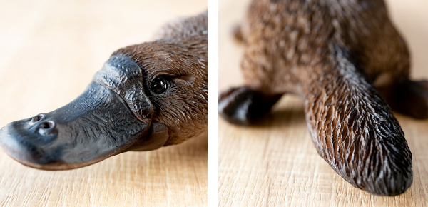 カモノハシ 貯金箱 リアル オブジェ 置物 インテリア （ 雑貨 動物