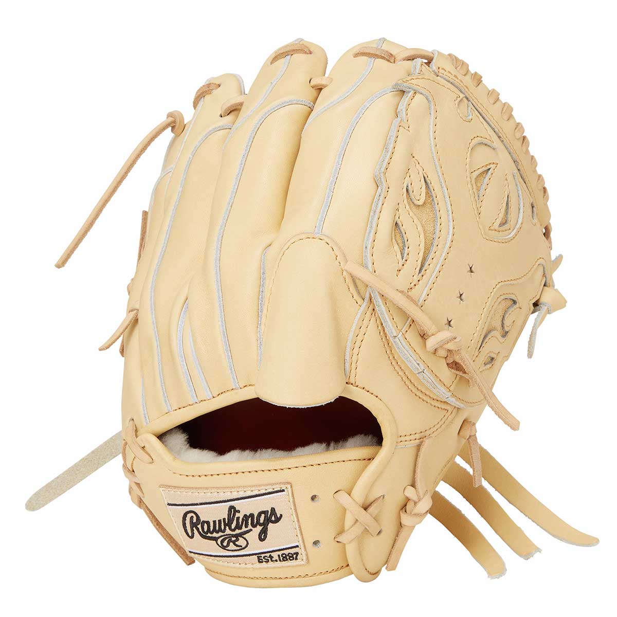 Rawlings（ローリングス） GH4PW2N54MG 硬式グラブ プロプリウィザード