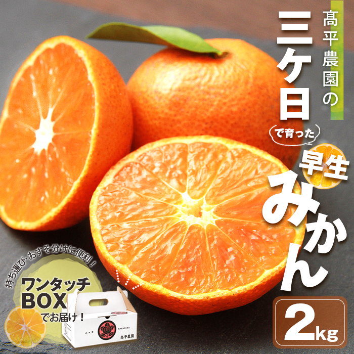 みかん 三ケ日 2kg ミカン 三ヶ日 mikan 高平農園 甘い 静岡産 青島