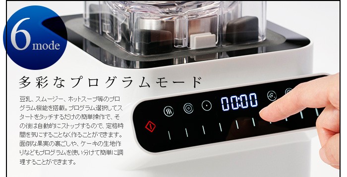 ハイパワーブレンダー DUNNETTS ダネッツ プロフェッショナル